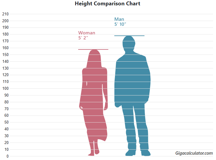 height comparison chart